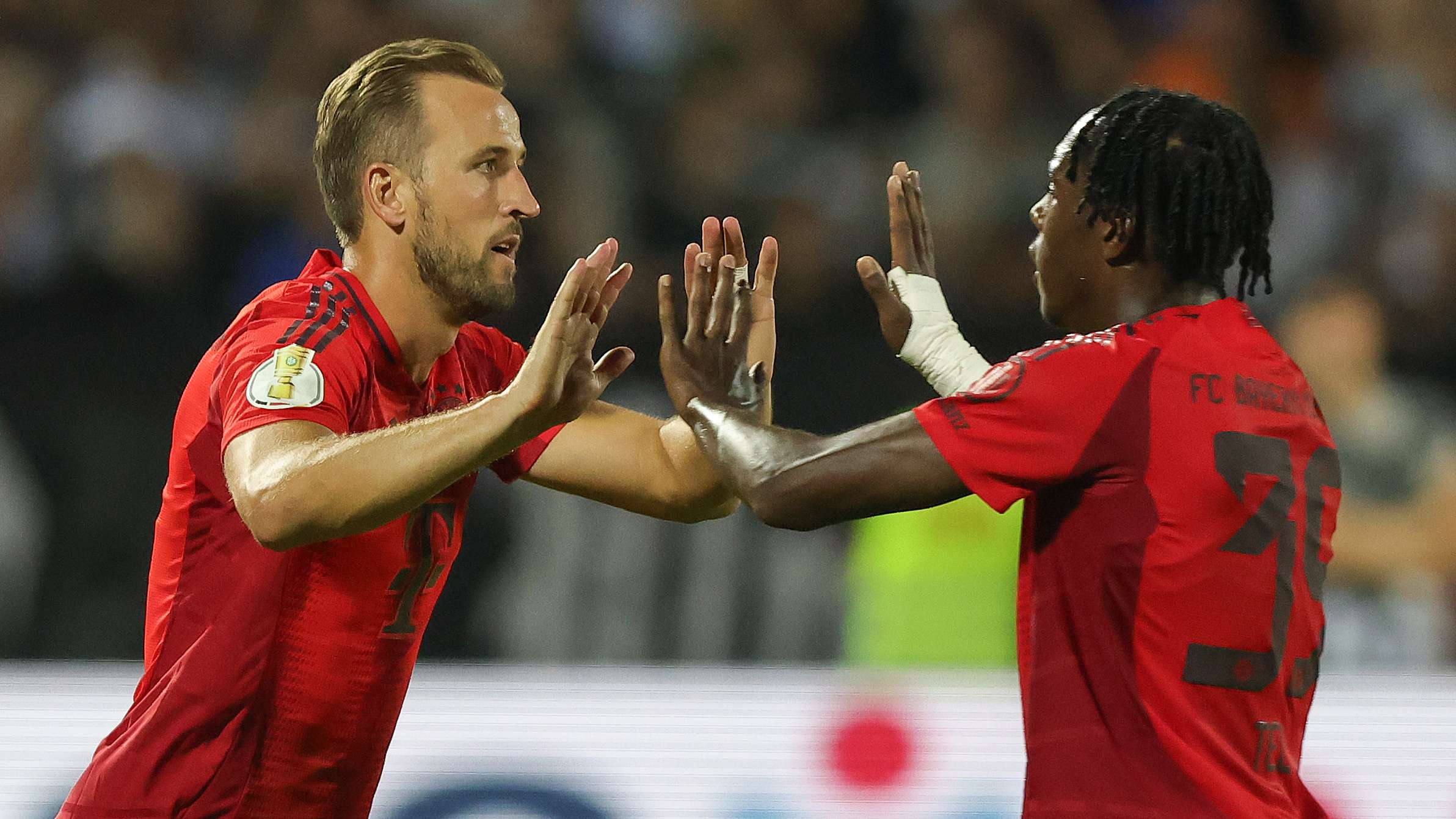 术特点能很 术特点能很