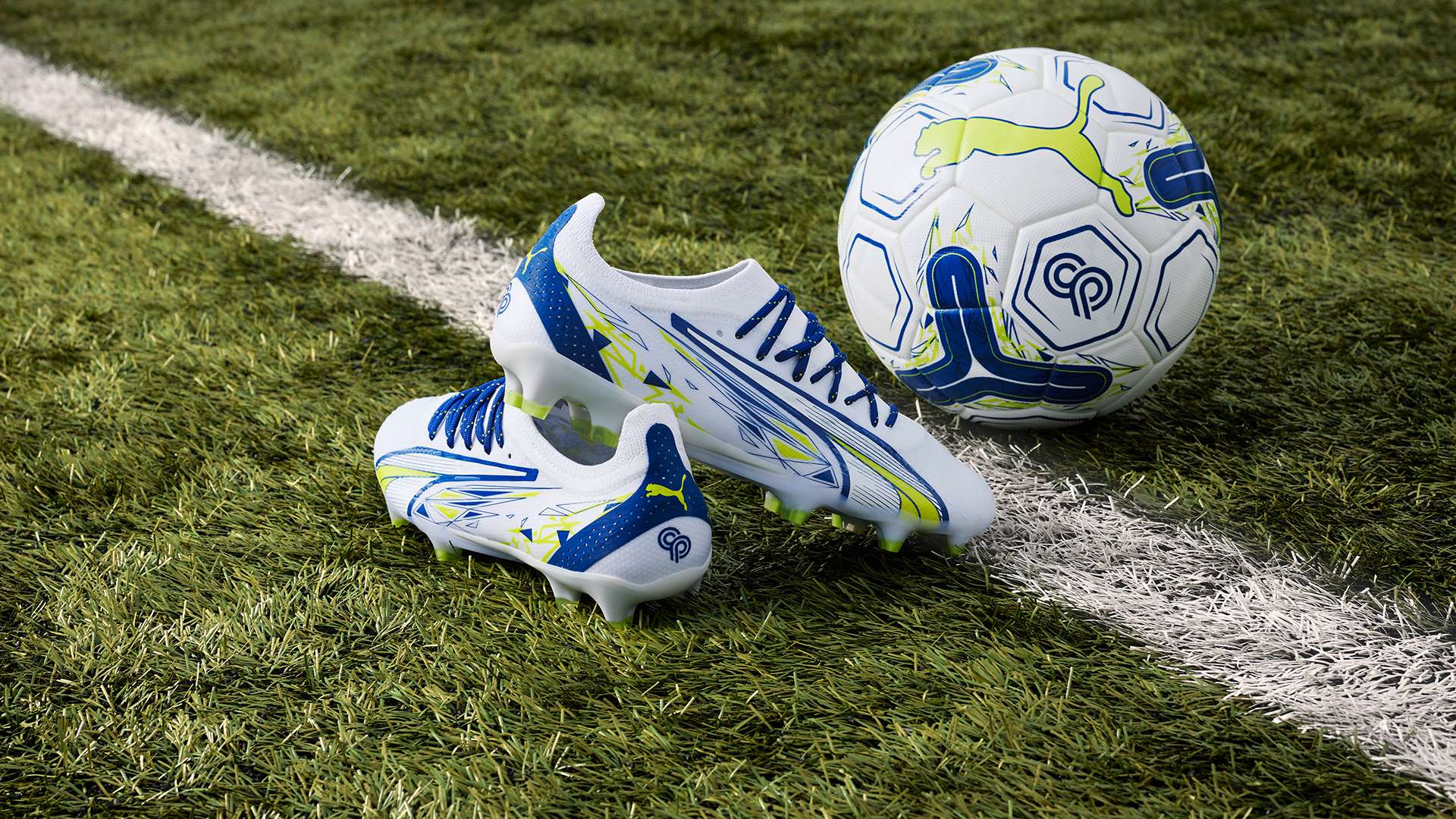 为球迷们提 为球迷们提